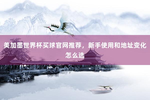 美加墨世界杯买球官网推荐，新手使用和地址变化怎么选